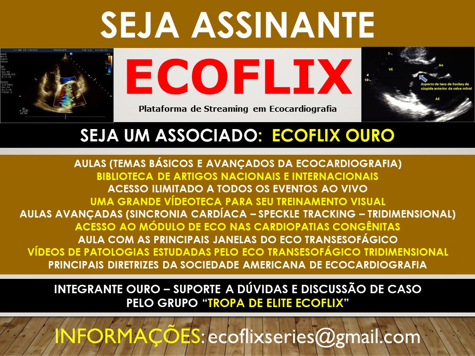 ECOFLIX OURO  - CANAL DE ASSINATURA EM ECOCARDIOGRAFIA